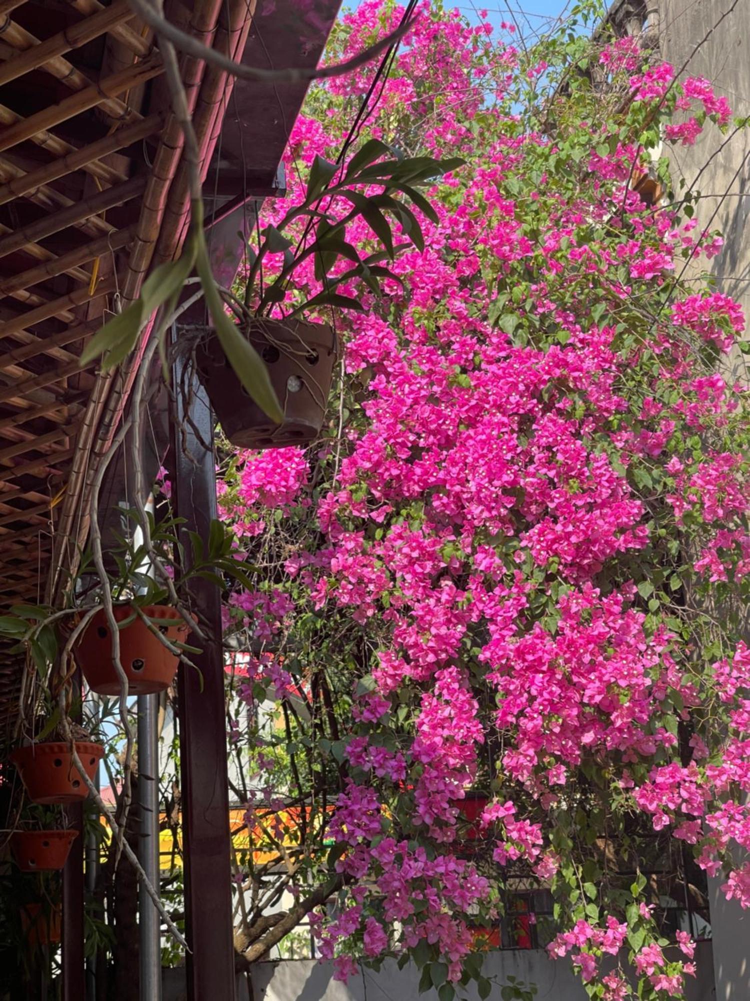Thuy Xuyen Tam Coc Homestay Vu Lam ภายนอก รูปภาพ