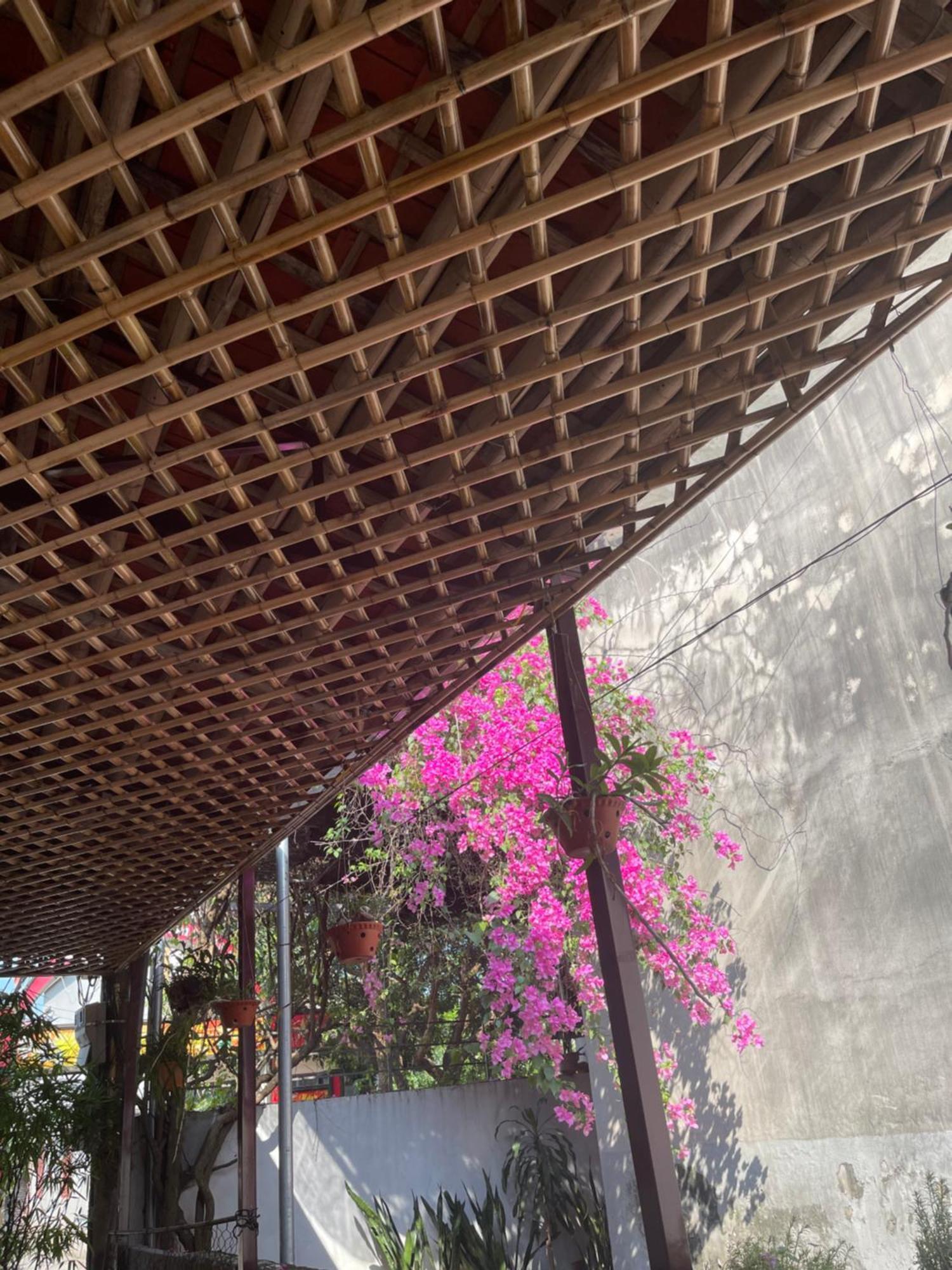 Thuy Xuyen Tam Coc Homestay Vu Lam ภายนอก รูปภาพ
